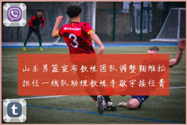 山东男篮宣布教练团队调整鞠维松担任一线队助理教练李敬宇接任青年队主教练