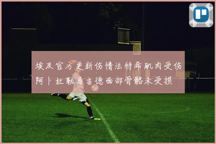 埃及官方更新伤情法特希肌肉受伤阿卜杜勒马吉德面部骨骼未受损